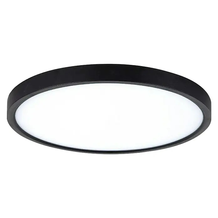 LED stropna svjetiljka Green Tech - 24 W, Crne boje, Neutralno bijelo - Dijagonalni pogled
