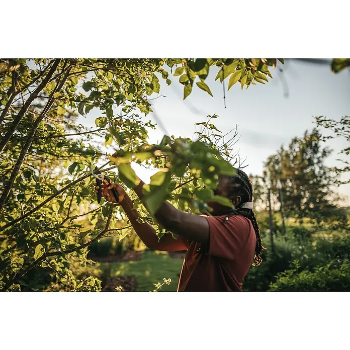 Fiskars Solid Tijeras de jardinería P321 - Sistema de corte: Bypass, Grosor de rama máx.: 20 mm - Producto en uso