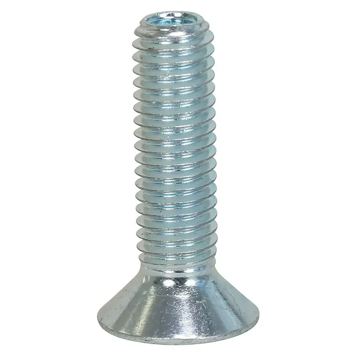 Profi Depot Innensechskant-Schraube - M6, Länge: 10 mm, 100 Stk., Verzinkt - Vorderansicht