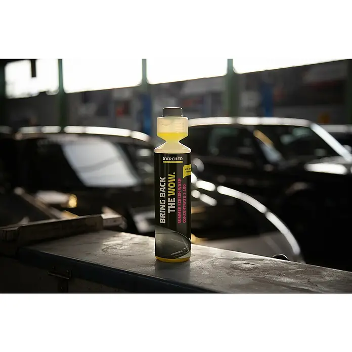 Kärcher Scheibenreiniger RM 672 - 250 ml - Stimmungsaufnahme