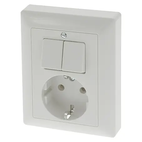 Jung AS 500 Combinatie wandcontactdoos/schakelaar met randaarde Dubbel