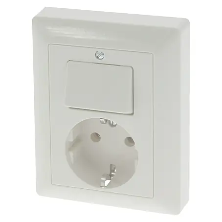 Jung AS 500 Combinatie wandcontactdoos/schakelaar met randaarde