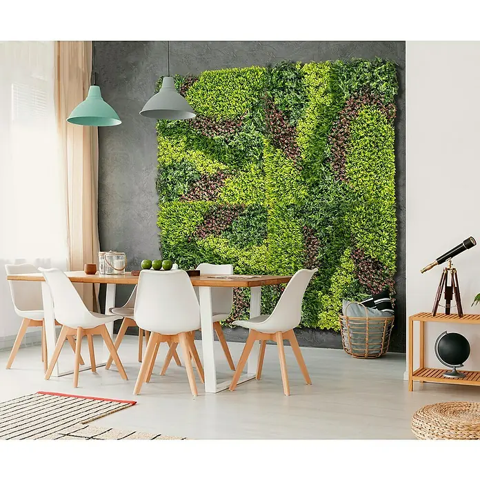 Jardín vertical Costa - Plástico, L x An: 100 x 100 cm, Apto para: Decoración - Foto ambiente