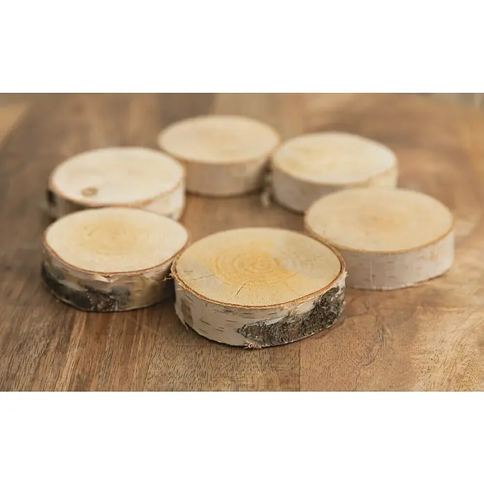 Baumscheibe - Birke, Unbehandelt, 6 cm - 12 cm, 15 Stk. - Stimmungsaufnahme