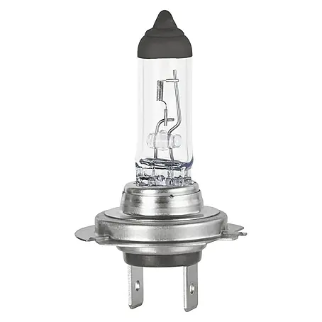 Formula 1®  Hauptscheinwerfer-Lampen CL730