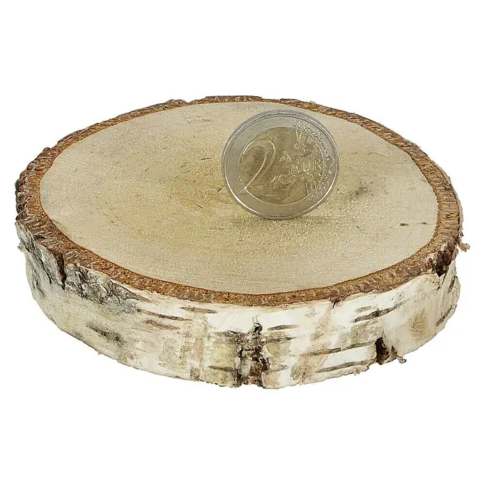 Baumscheibe - Birke, Unbehandelt, 6 cm - 12 cm, 15 Stk. - Diagonale Ansicht