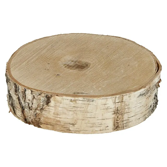 Baumscheibe - Birke, Unbehandelt, 20 cm - 25 cm, 1 Stk. - Diagonale Ansicht