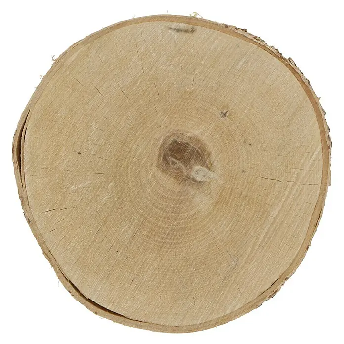 Baumscheibe - Birke, Unbehandelt, 20 cm - 25 cm, 1 Stk. - Draufsicht