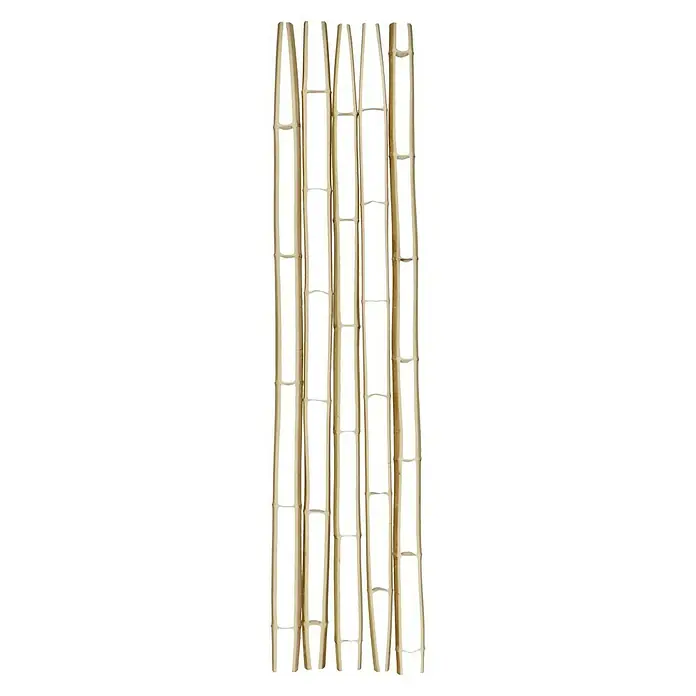 Bambusskelett - 2 m, Durchmesser: 8 cm - 12 cm - Vorderansicht
