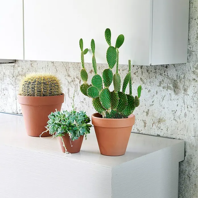 Maceta para planta Deroma - Dimensiones externas (Ø x Al): 27 x 24,4 cm, Materiales naturales, Rojo klinker - Producto en uso