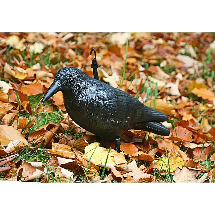 Swissinno Natural Control Taubenabwehr-Rabe - Länge: 36 cm - Anwendungsbeispiel