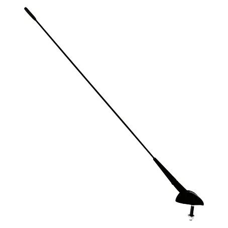 Carpoint  Antenne Universeel