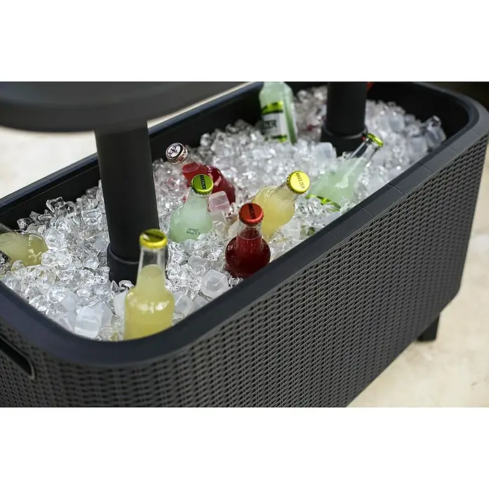 Keter Nevera portátil Bevy Bar - L x An x Al: 83 x 40,5 x 50 cm, Negro - Primer plano