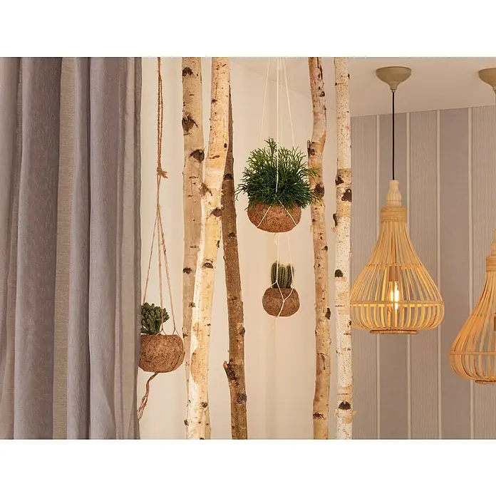 Eglo Pendelleuchte rund Amsfield - Ø x H: 350 mm x 110 cm - Stimmungsaufnahme