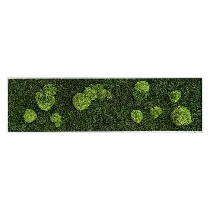 styleGreen Moosbild - 40 x 140 cm - Vorderansicht