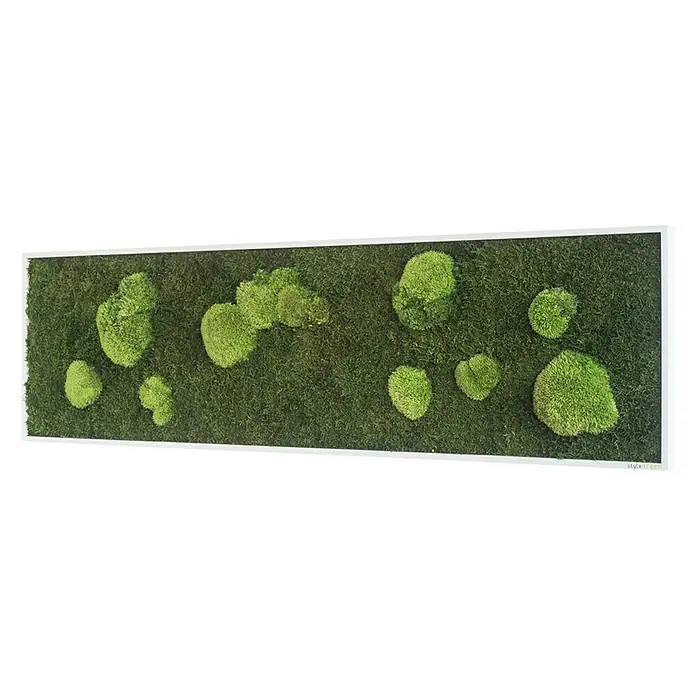 styleGreen Moosbild - 40 x 140 cm - Vorderansicht