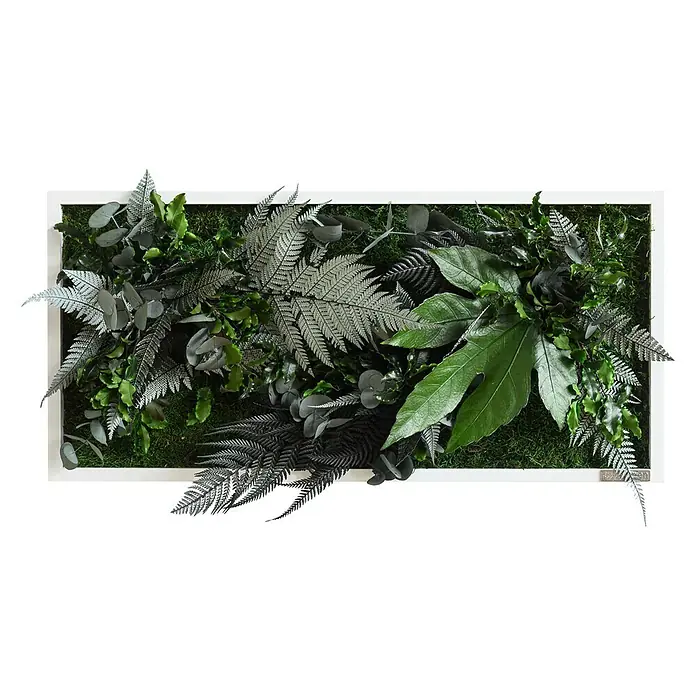 styleGreen Pflanzenbild - 27 x 57 cm - Vorderansicht