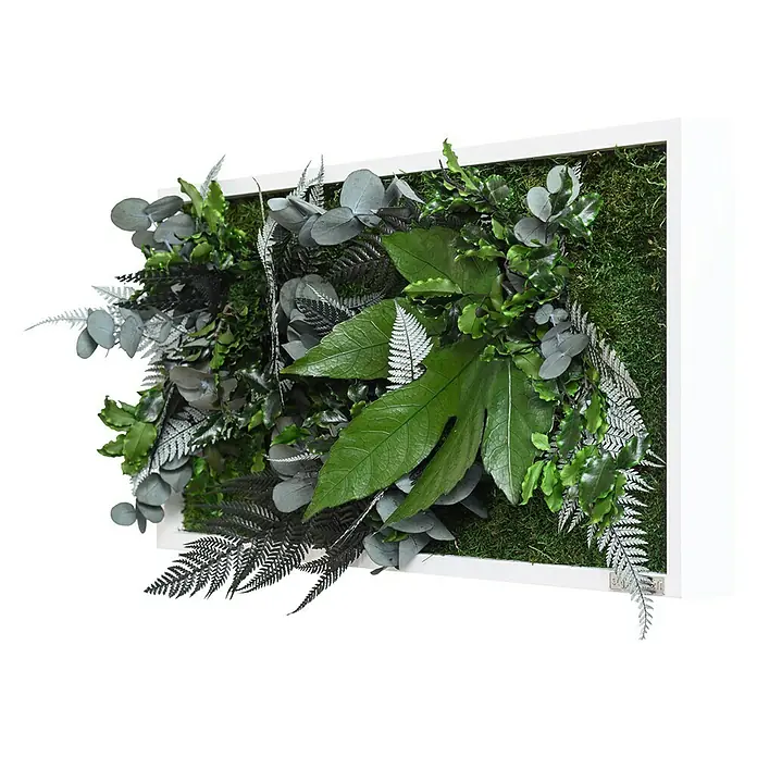 styleGreen Pflanzenbild - 27 x 57 cm - Diagonale Ansicht