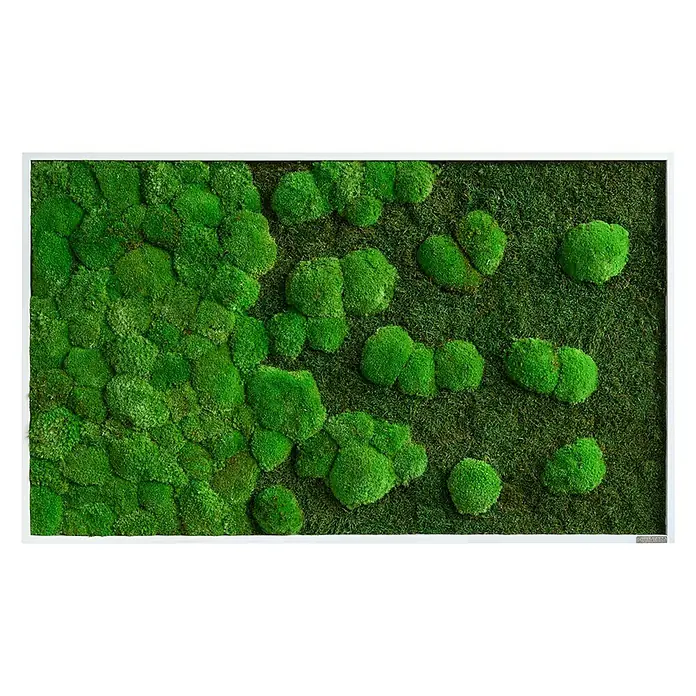 styleGreen Moosbild - 60 x 100 cm - Vorderansicht