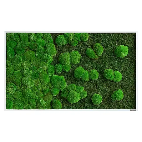 styleGreen  Moosbild