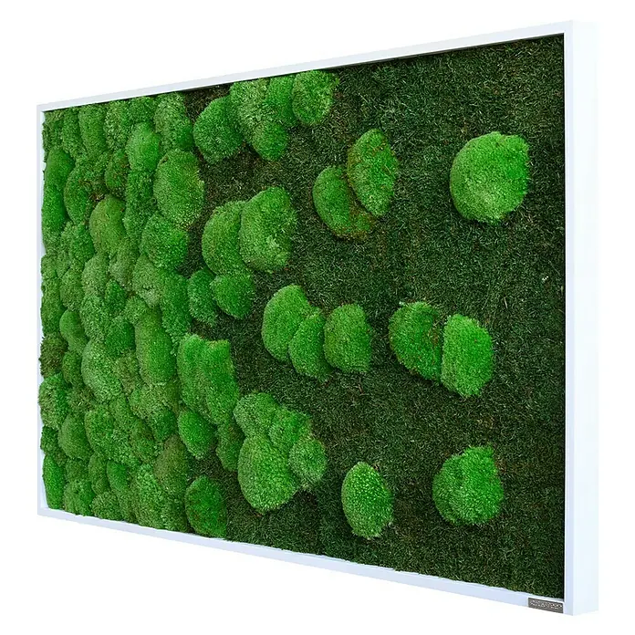 styleGreen Moosbild - 60 x 100 cm - Diagonale Ansicht