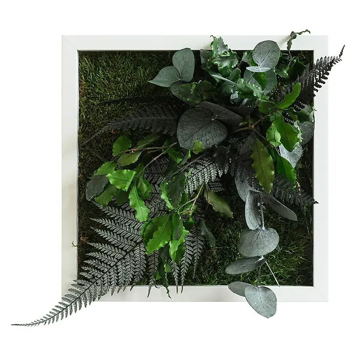 styleGreen Pflanzenbild Dschungeldesign - 22 x 22 cm - Vorderansicht
