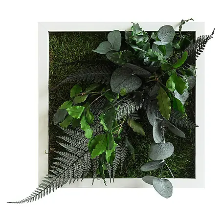 styleGreen  Pflanzenbild Dschungeldesign