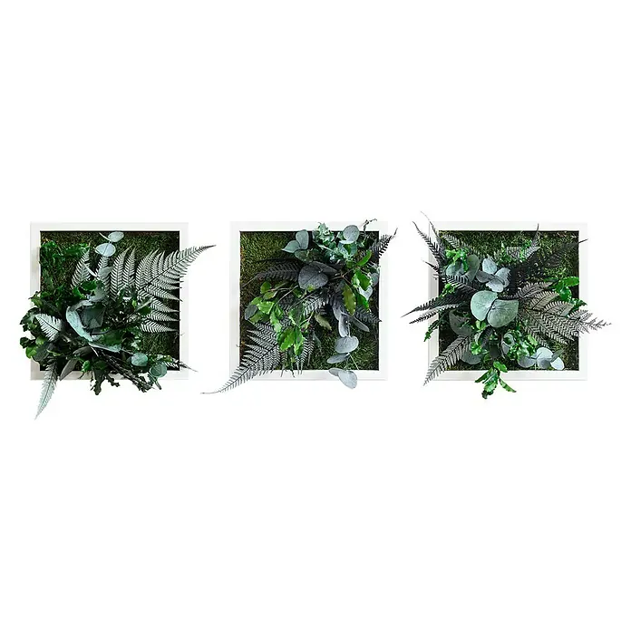 styleGreen Pflanzenbild Dschungeldesign -  - Vorderansicht