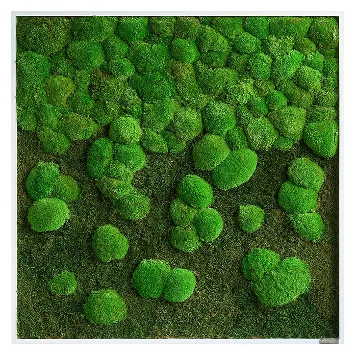 styleGreen Moosbild - 80 x 80 cm - Vorderansicht