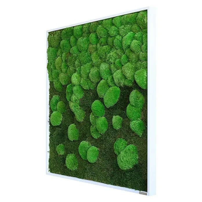styleGreen Moosbild - 80 x 80 cm - Diagonale Ansicht