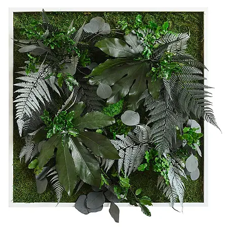 styleGreen  Pflanzenbild
