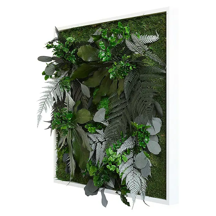 styleGreen Pflanzenbild - 55 x 55 cm - Diagonale Ansicht
