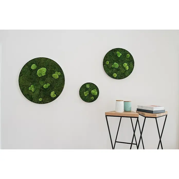 styleGreen Moosbild - 34 x 6 cm - Stimmungsaufnahme