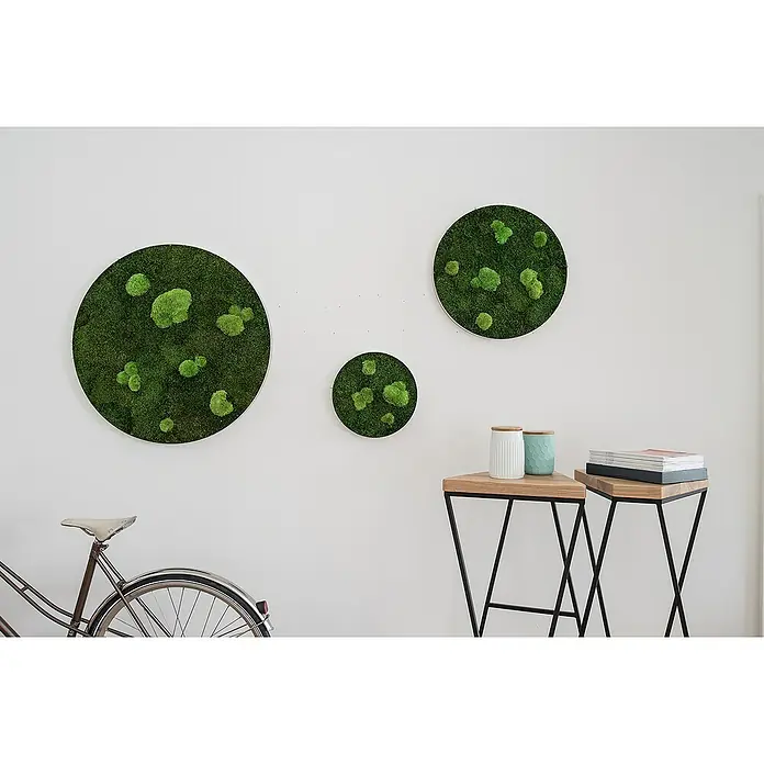 styleGreen Moosbild - 34 x 6 cm - Stimmungsaufnahme