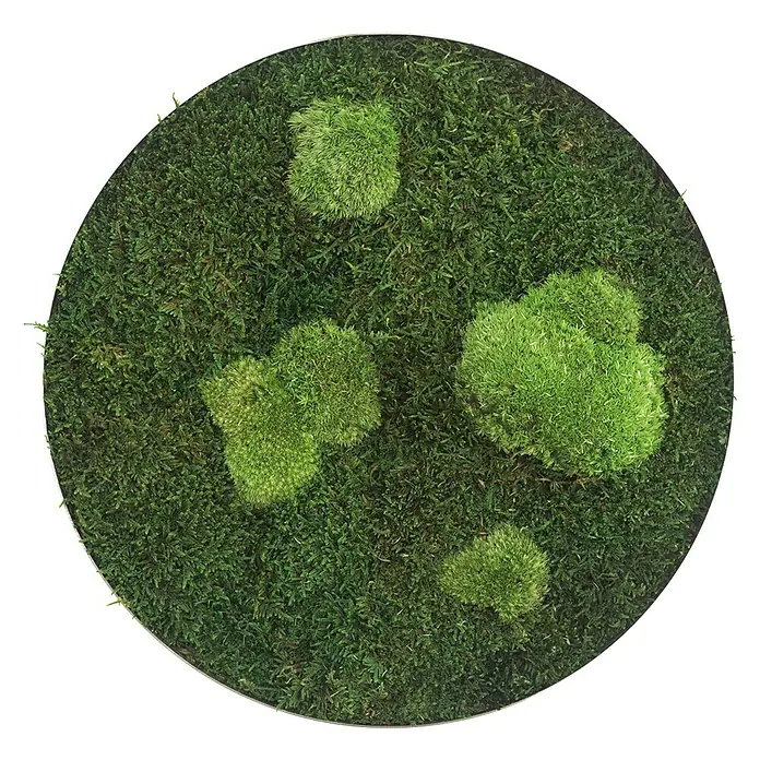 styleGreen Moosbild - 34 x 6 cm - Vorderansicht