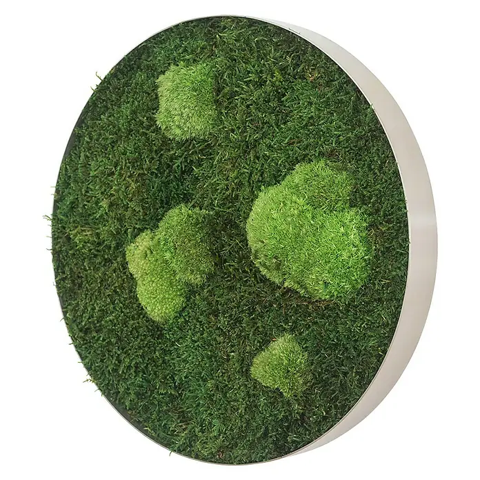 styleGreen Moosbild - 34 x 6 cm - Diagonale Ansicht