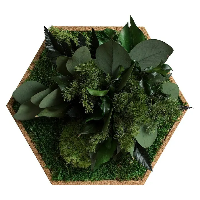 styleGreen Moosbild Hexagon - 19 x 22 cm, 10 Stk. - Vorderansicht