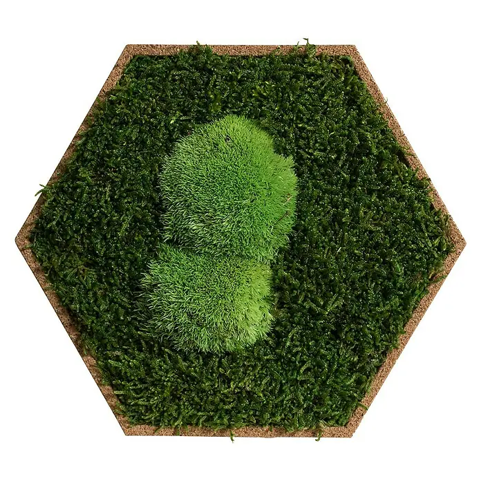 styleGreen Moosbild Hexagon - 19 x 22 cm, 10 Stk. - Vorderansicht