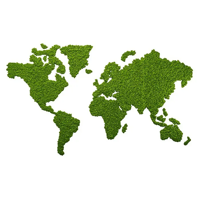 styleGreen Moosbild Weltkarte - 230 x 135 cm - Vorderansicht