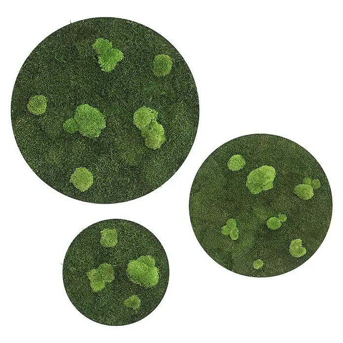 styleGreen Pflanzenbild Wald- und Kugelmoos Kreise - Mooskreise - Vorderansicht