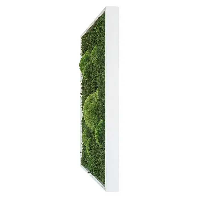 styleGreen Moosbild - 80 x 80 cm - Diagonale Ansicht