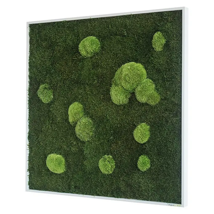 styleGreen Moosbild - 80 x 80 cm - Diagonale Ansicht