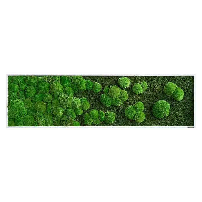 styleGreen Moosbild - 140 x 40 cm - Vorderansicht