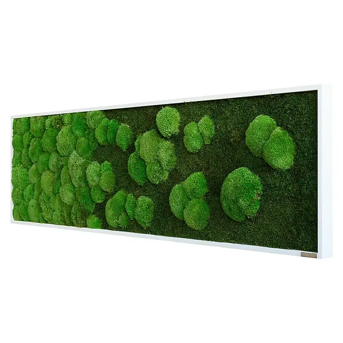 styleGreen Moosbild - 140 x 40 cm - Diagonale Ansicht