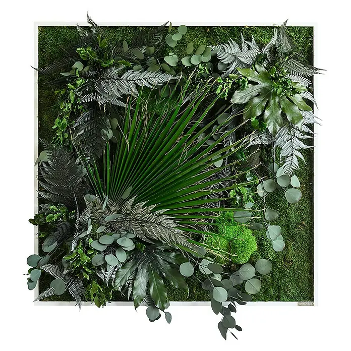 styleGreen Pflanzenbild - 80 x 80 cm - Vorderansicht