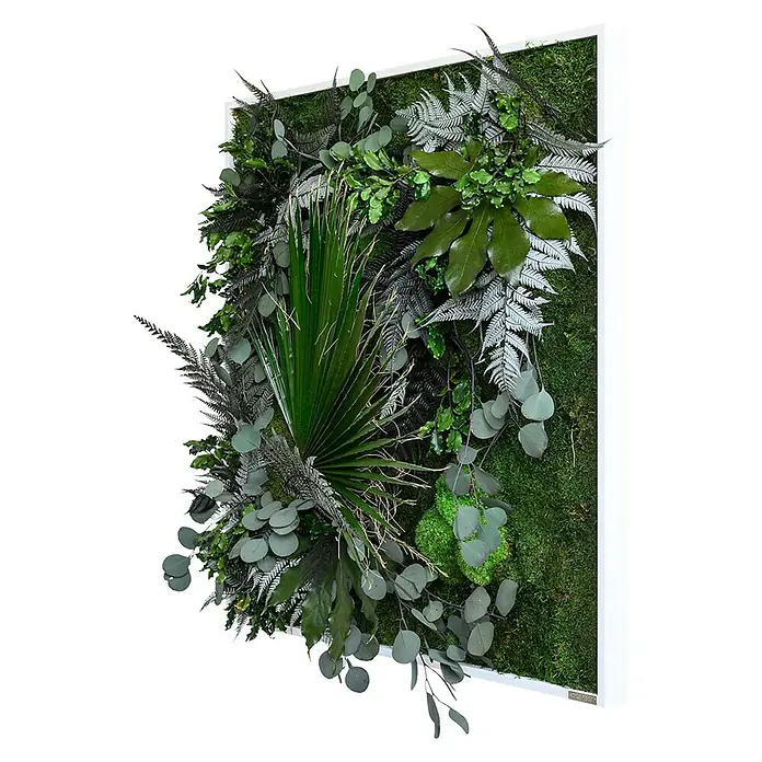 styleGreen Pflanzenbild - 80 x 80 cm - Diagonale Ansicht