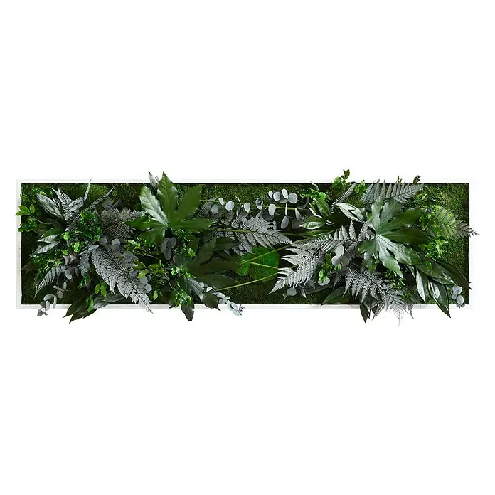 styleGreen Pflanzenbild - 40 x 140 cm - Vorderansicht