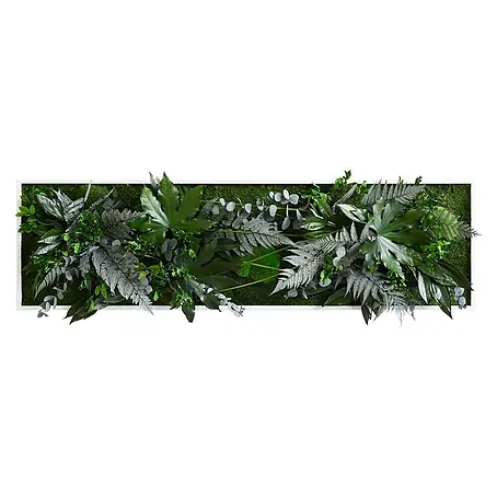 styleGreen  Pflanzenbild