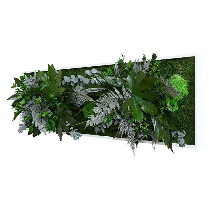 styleGreen Pflanzenbild - 40 x 140 cm - Diagonale Ansicht