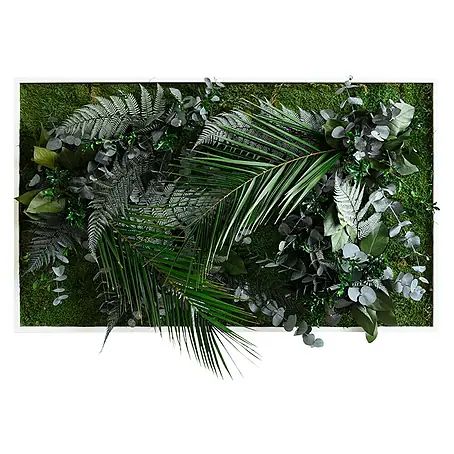 styleGreen  Pflanzenbild